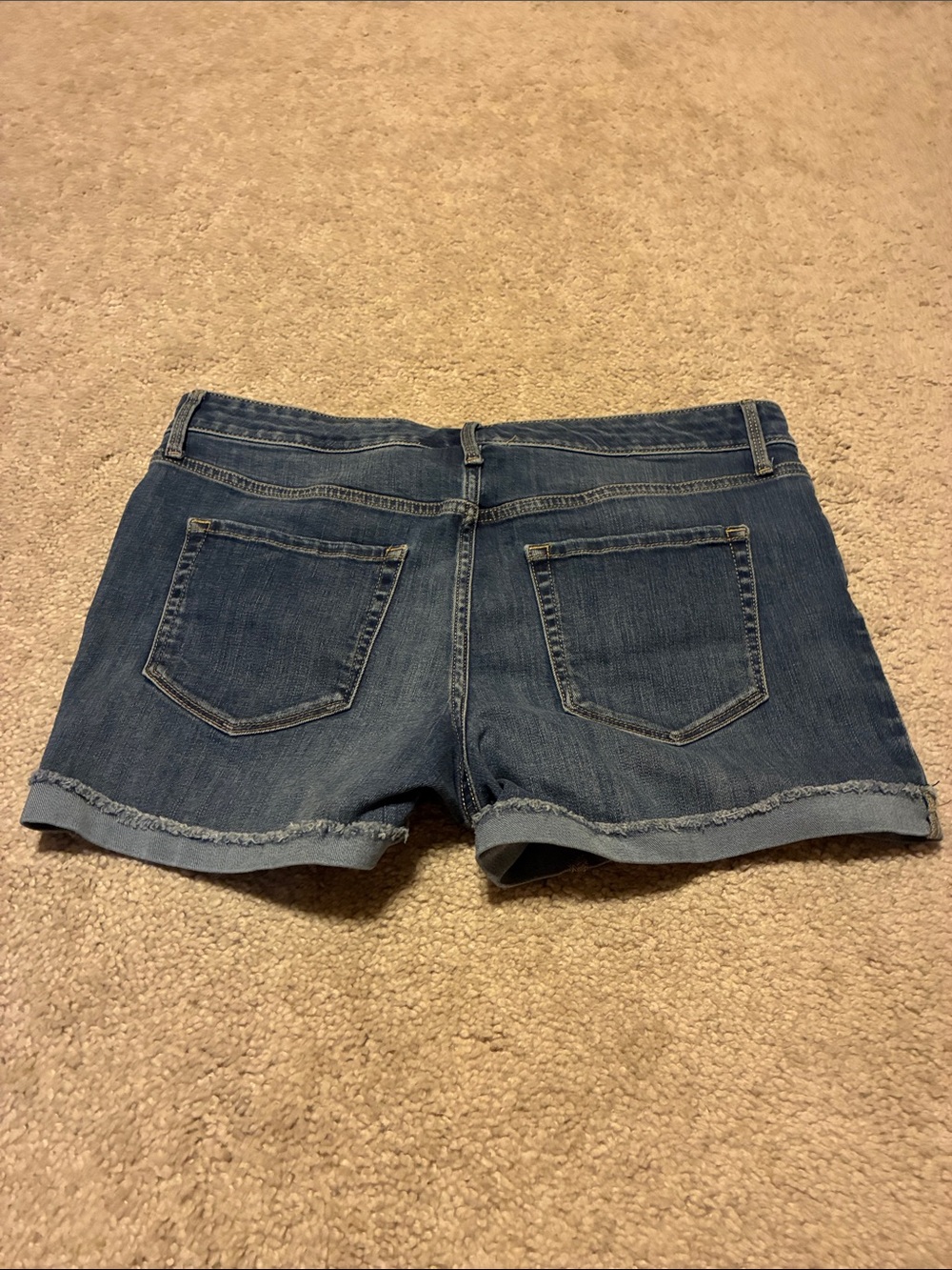 Ava & Viv Light Blue Rolled Hem Denim Shorts - Picture 7 of 8